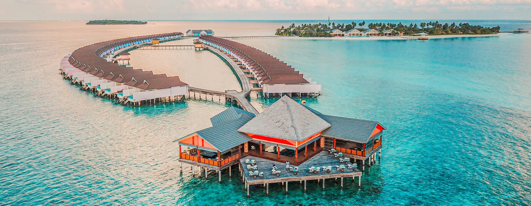 Dolphin Tours